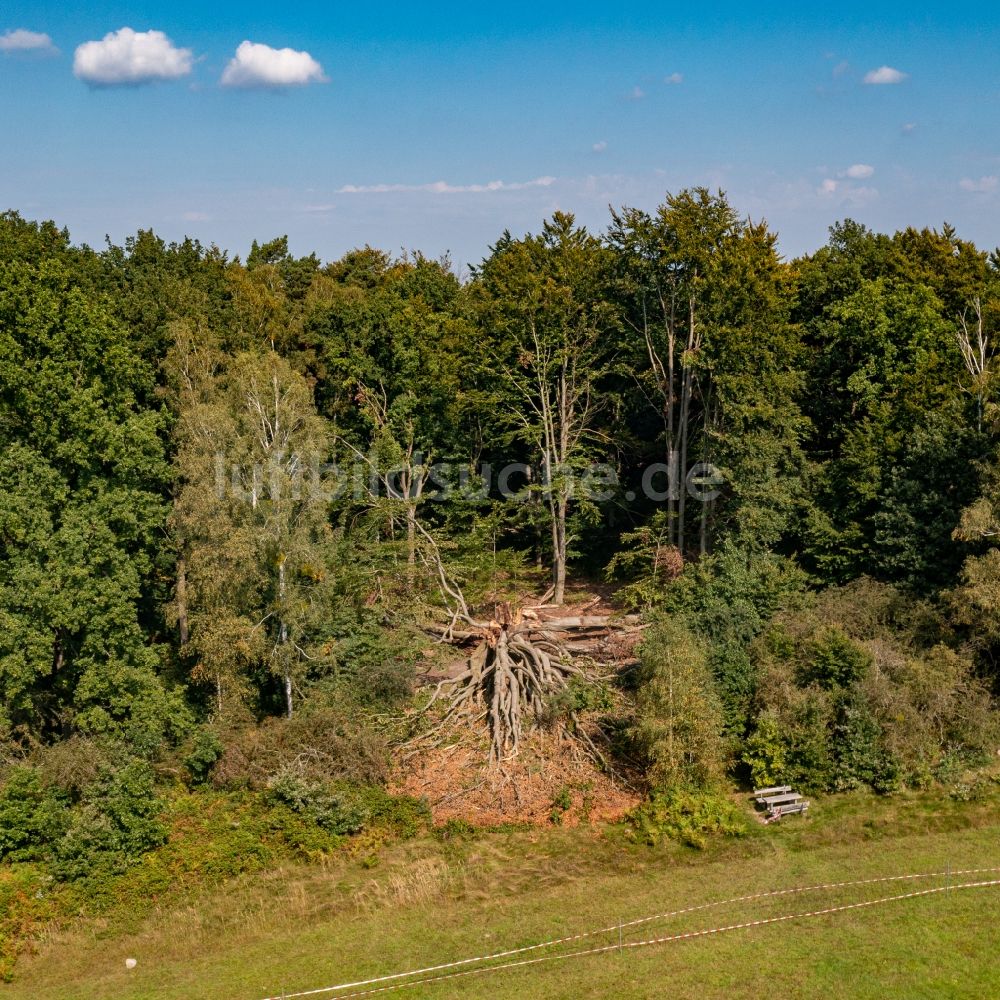 Luftbild Schorfheide - Forstgebiete in einem Waldgebiet in der Schorfheide, Silkebuche im Bundesland Brandenburg, Deutschland