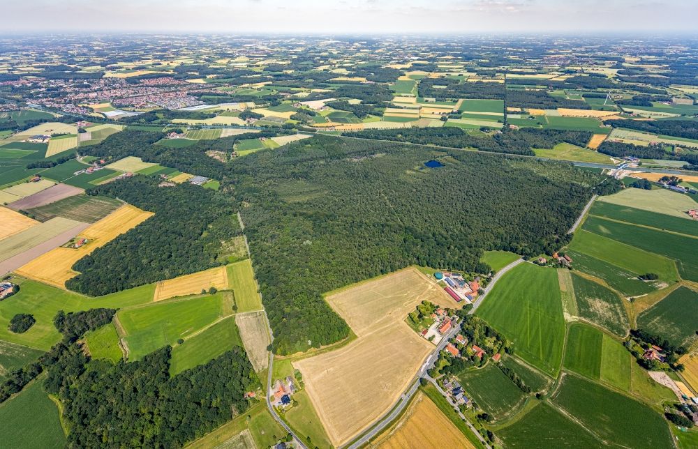 Senden aus der Vogelperspektive: Forstgebiete in einem Waldgebiet Venner Moor in Senden im Bundesland Nordrhein-Westfalen, Deutschland
