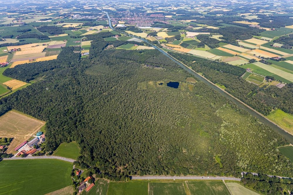 Luftaufnahme Senden - Forstgebiete in einem Waldgebiet Venner Moor in Senden im Bundesland Nordrhein-Westfalen, Deutschland