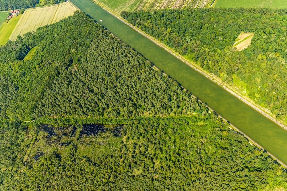 Luftbild Senden - Forstgebiete in einem Waldgebiet Venner Moor in Senden im Bundesland Nordrhein-Westfalen, Deutschland
