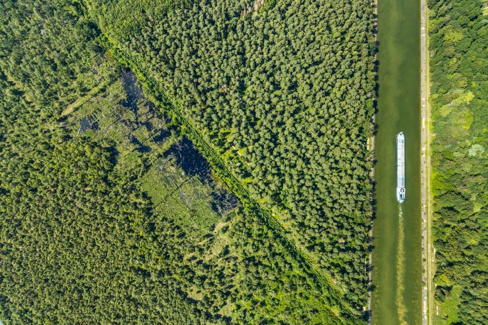 Luftbild Senden - Forstgebiete in einem Waldgebiet Venner Moor in Senden im Bundesland Nordrhein-Westfalen, Deutschland