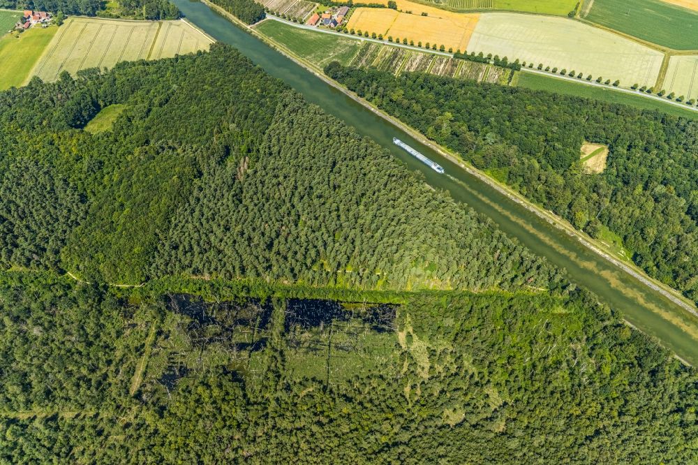 Senden von oben - Forstgebiete in einem Waldgebiet Venner Moor in Senden im Bundesland Nordrhein-Westfalen, Deutschland