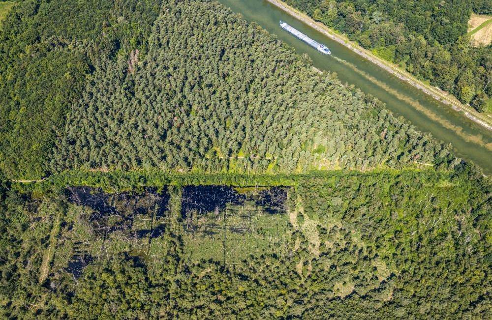 Senden aus der Vogelperspektive: Forstgebiete in einem Waldgebiet Venner Moor in Senden im Bundesland Nordrhein-Westfalen, Deutschland