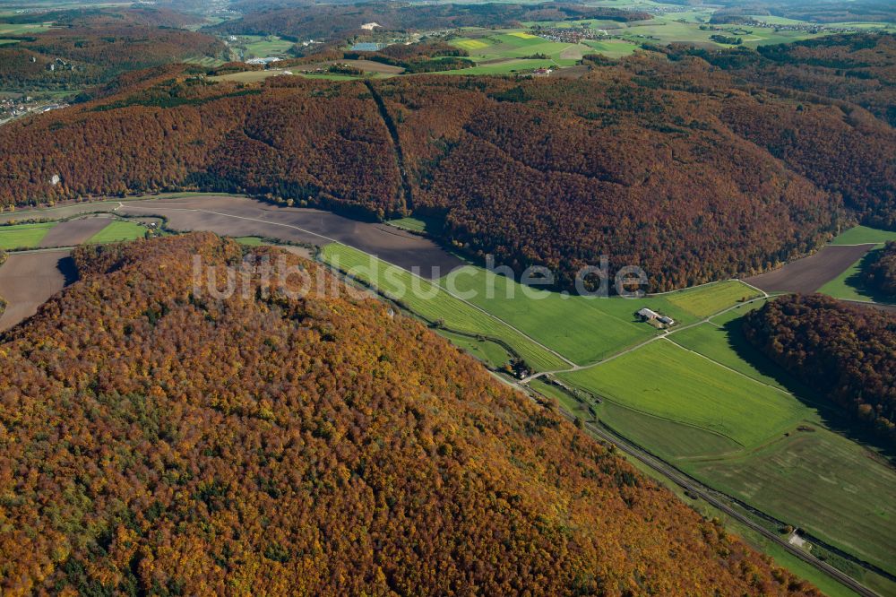 Weiler von oben - Forstgebiete in einem Waldgebiet in Weiler im Bundesland Baden-Württemberg, Deutschland