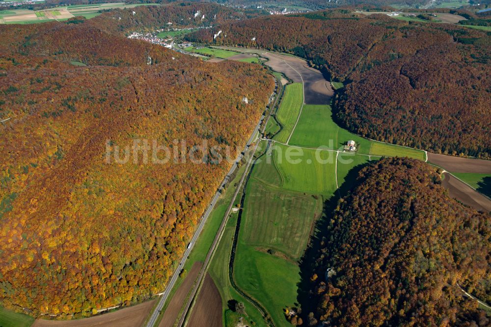 Weiler aus der Vogelperspektive: Forstgebiete in einem Waldgebiet in Weiler im Bundesland Baden-Württemberg, Deutschland