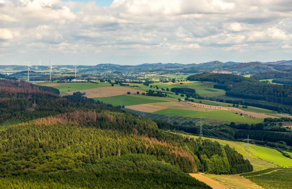 Olsberg aus der Vogelperspektive: Forstgebiete in einem Waldgebiet mit Wiesen und Feldern in Olsberg im Bundesland Nordrhein-Westfalen, Deutschland