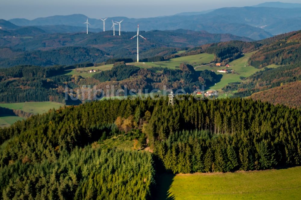 Freiamt von oben - Forstgebiete in einem Waldgebiet mit Windkraftanlagen in Freiamt im Bundesland Baden-Württemberg, Deutschland