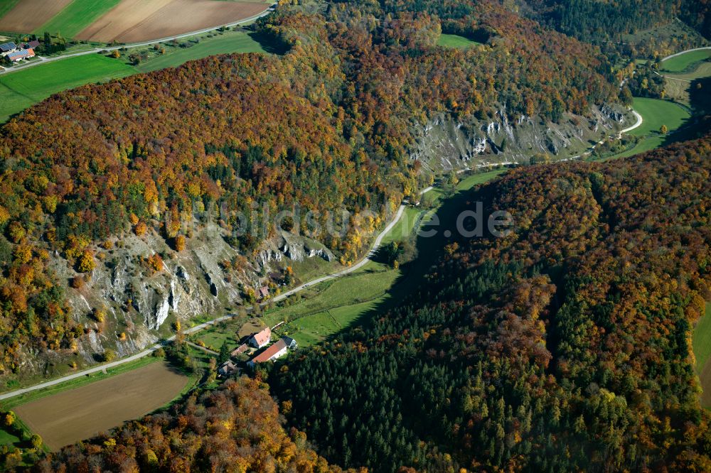 Wippingen von oben - Forstgebiete in einem Waldgebiet in Wippingen im Bundesland Baden-Württemberg, Deutschland