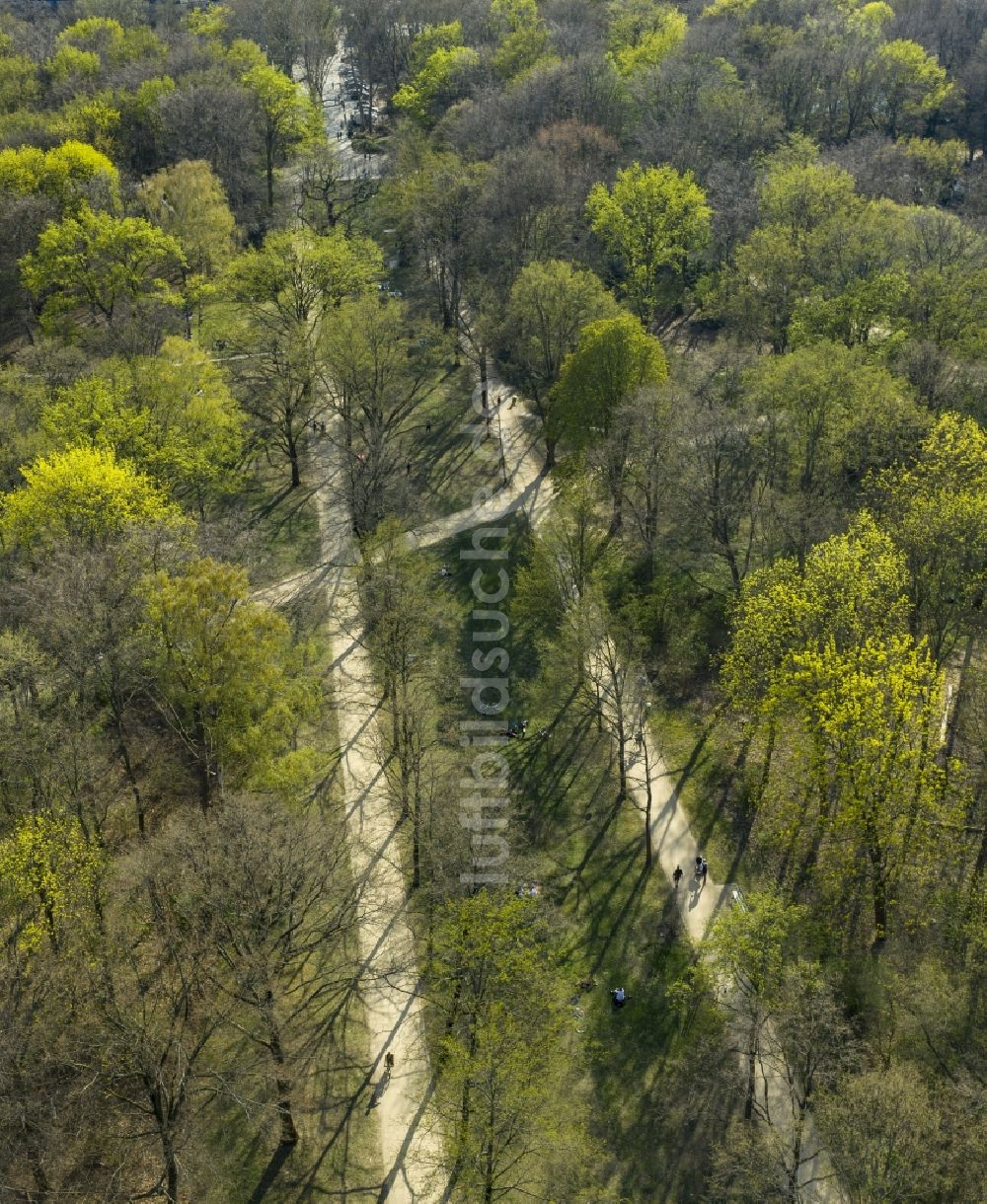Luftaufnahme Berlin - Frischer grüner Blattaustrieb in einem Waldgebiet der Parkanlage im Ortsteil Tiergarten in Berlin, Deutschland