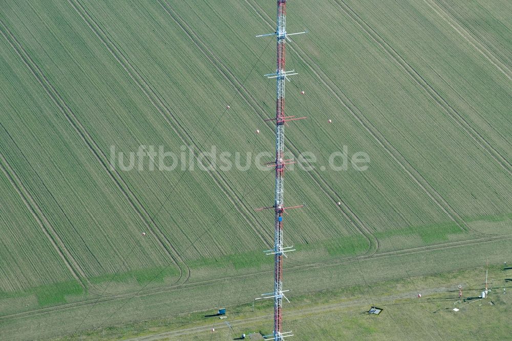 Falkenberg aus der Vogelperspektive: Funkturm und Sendeanlage als Grundnetzsender in Falkenberg im Bundesland Brandenburg, Deutschland