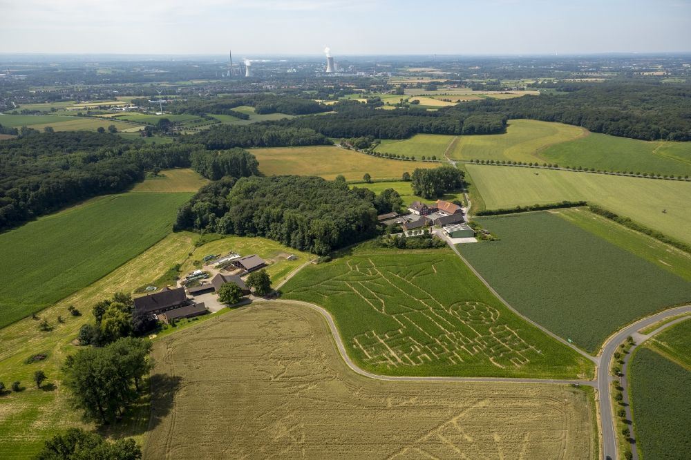 Selm von oben - Fußball- Weltmeisterschafts- Begeisterung im Maisfeld- Labyrinth bei Selm im Bundesland Nordrhein-Westfalen