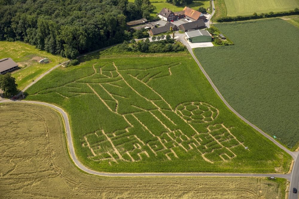 Selm aus der Vogelperspektive: Fußball- Weltmeisterschafts- Begeisterung im Maisfeld- Labyrinth bei Selm im Bundesland Nordrhein-Westfalen