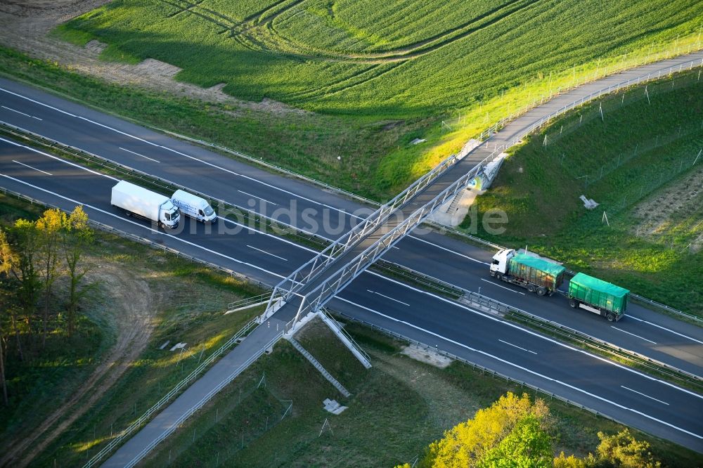 Luftbild Flatow - Fußgänger- Fahrradbrücke über die A24 m Bereich Kuhhorst-Flatow, zwischen den Anschlussstellen Fehrbellin und Kremmen, in Flatow im Bundesland Brandenburg, Deutschland