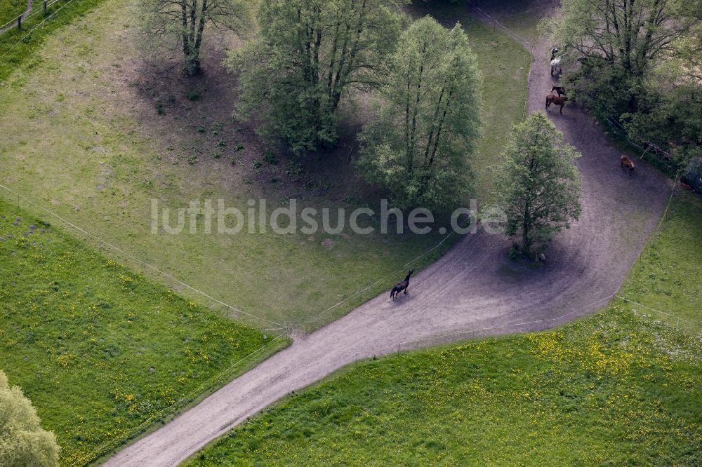 Werneuchen von oben - Galopierendes Pferd auf einem Feldweg in Werneuchen im Bundesland Brandenburg