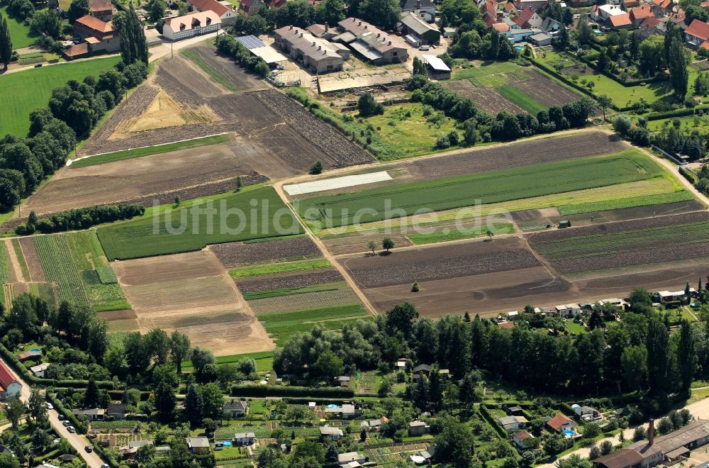 Luftaufnahme Elxleben - Gartenbau in Elxleben im Bundesland Thüringen