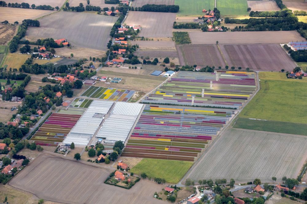 Luftbild Schwarme - Gartencenter Gartenbau Hintze in Schwarme im Bundesland Niedersachsen, Deutschland