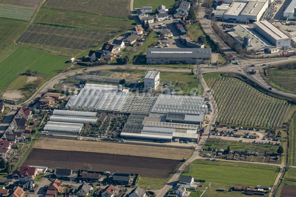 Luftaufnahme Haslach im Kinzigtal - Gartencenter Göppert Gartencenter GmbH in Haslach im Kinzigtal im Bundesland Baden-Württemberg, Deutschland