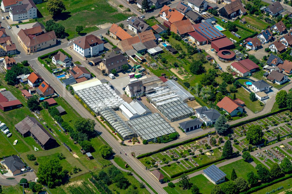 Luftbild Weisweil - GartencenterGärtnerei & Floristik Lösslin in Weisweil im Bundesland Baden-Württemberg, Deutschland