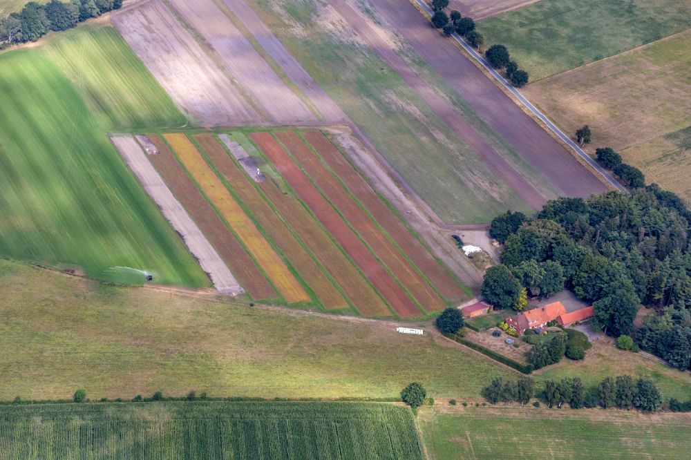 Luftbild Groß Ippener - Gartencenterin Ortholz in Groß Ippener im Bundesland Niedersachsen, Deutschland