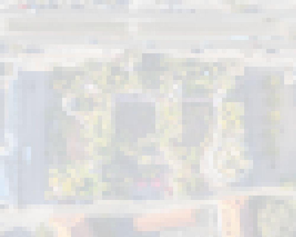 Magdeburg aus der Vogelperspektive: Gebäude des Besucherzentrums Grüne Zitadelle von Friedensreich Hundertwasser in Magdeburg im Bundesland Sachsen-Anhalt, Deutschland