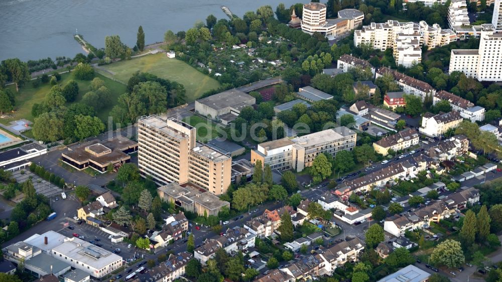 Luftbild Bonn - Gebäudegruppe der ehemaligen Pädagogischen Fakultät der Rheinische Friedrich-Wilhelms-Universität Bonn in Bonn im Bundesland Nordrhein-Westfalen, Deutschland