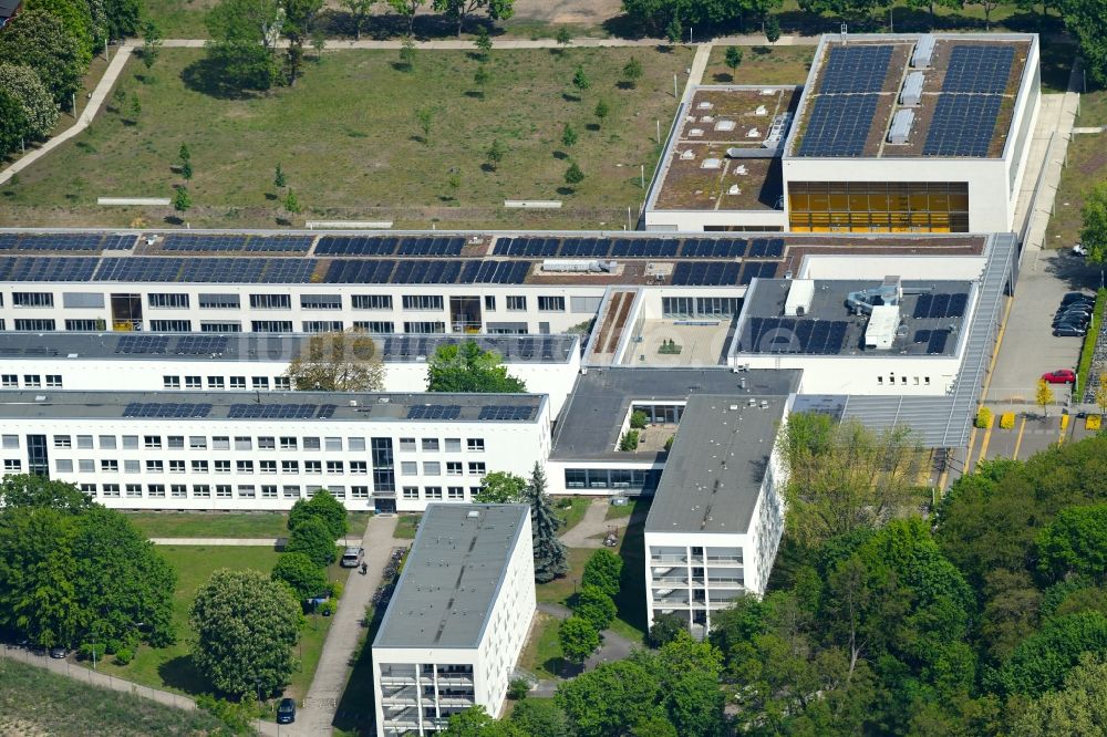 Luftaufnahme Berlin - Gebäudekomplex der Berufsschule Schul- und Leistungssportzentrum Berlin in Berlin, Deutschland