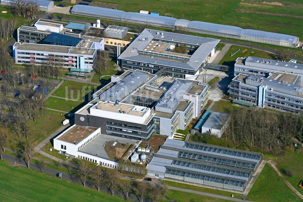 Potsdam von oben - Gebäudekomplex des Institut Max-Planck-Institut - Fraunhofer in Potsdam im Bundesland Brandenburg, Deutschland