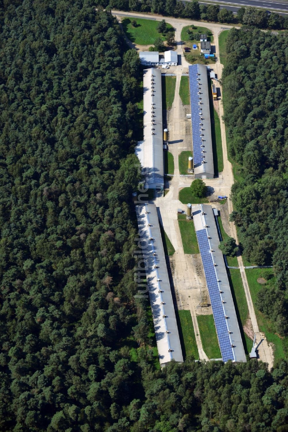Luftaufnahme Radeburg - Gebäudekomplexe der Hühnerfarm Waldrose GmbH im Waldstück an der Zschornaer Straße in Radeburg im Bundesland Sachsen