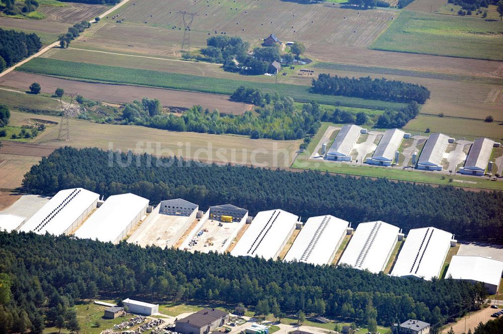 DUSCHNIK / DUSZNIKI von oben - Geflügelfarm in Duschnik in der Woiwodschaft Großpolen