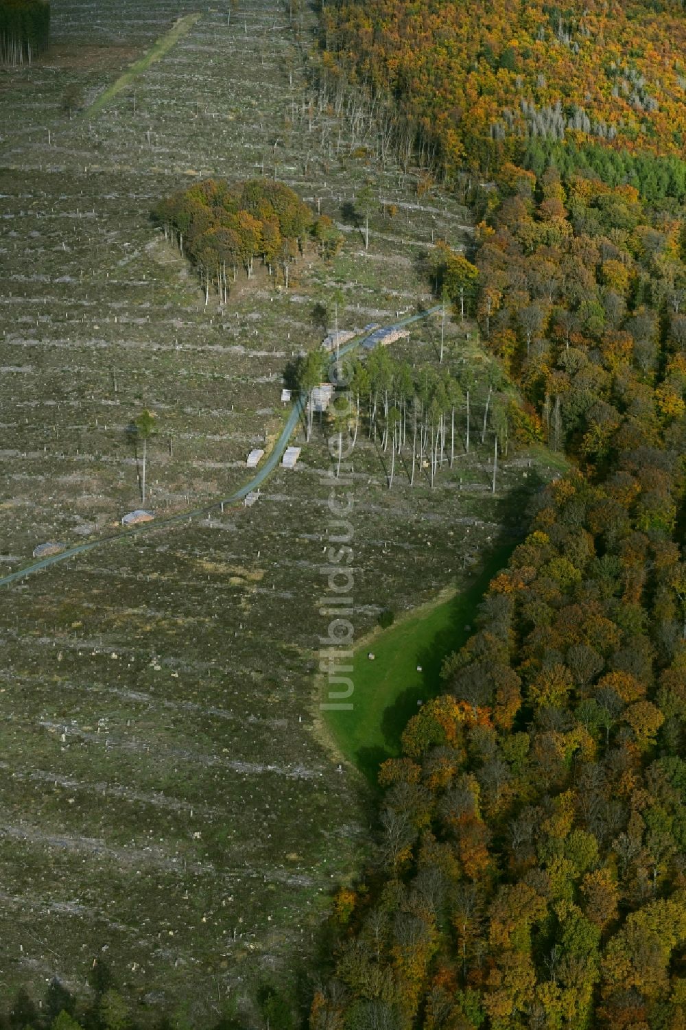 Anspach aus der Vogelperspektive: Gefällte Baumstämme an einem Waldgrundstück in Anspach im Bundesland Hessen, Deutschland