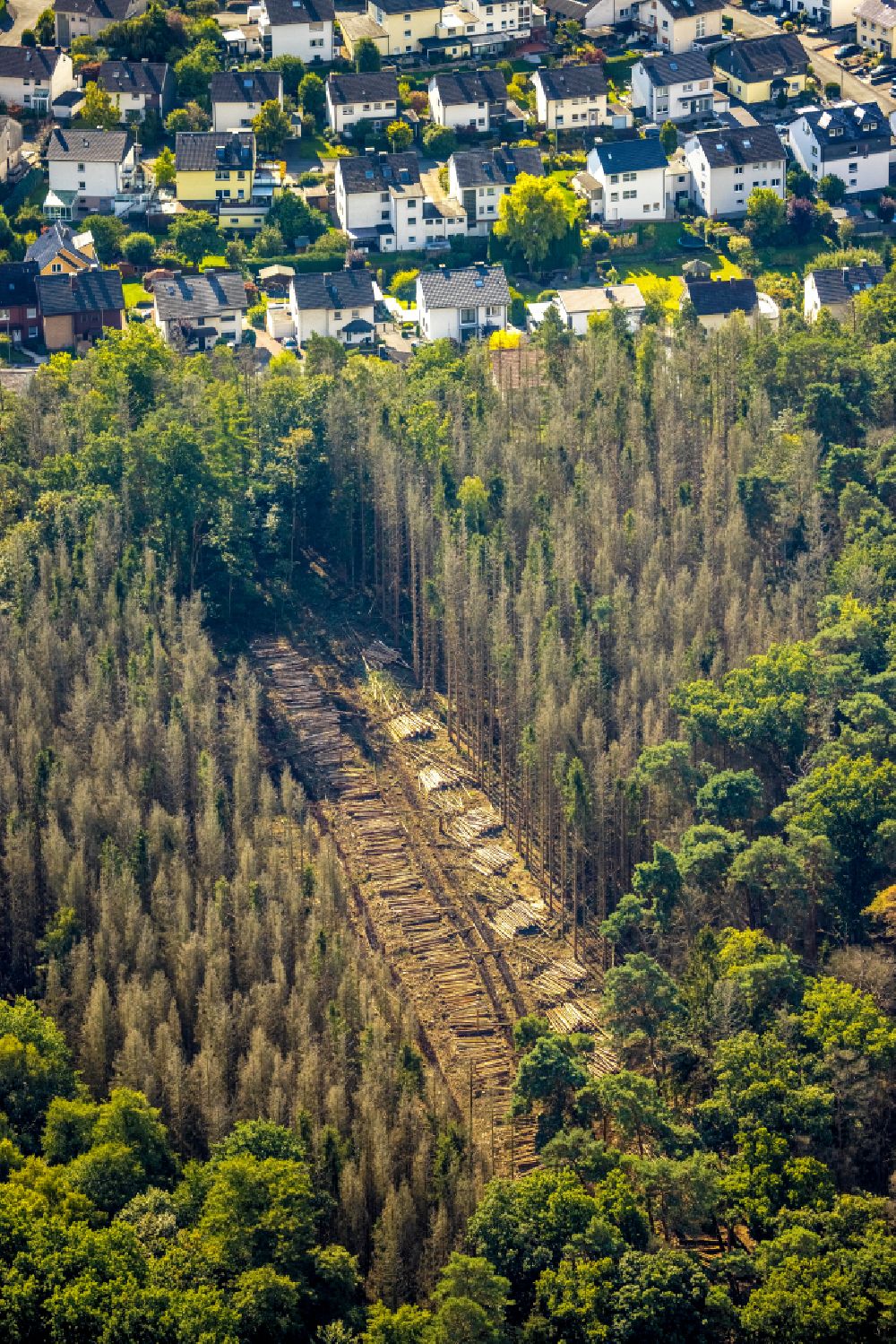 Luftaufnahme Arnsberg - Gefällte Baumstämme an einem Waldgrundstück in Arnsberg im Bundesland Nordrhein-Westfalen, Deutschland