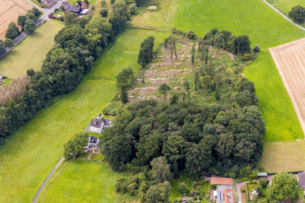 Luftaufnahme Bausenhagen - Gefällte Baumstämme an einem Waldgrundstück in Bausenhagen im Bundesland Nordrhein-Westfalen, Deutschland