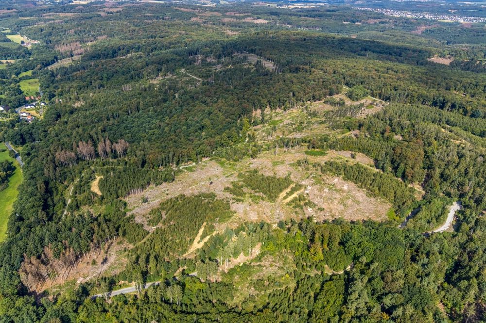 Luftbild Hüsten - Gefällte Baumstämme an einem Waldgrundstück in Hüsten im Bundesland Nordrhein-Westfalen, Deutschland
