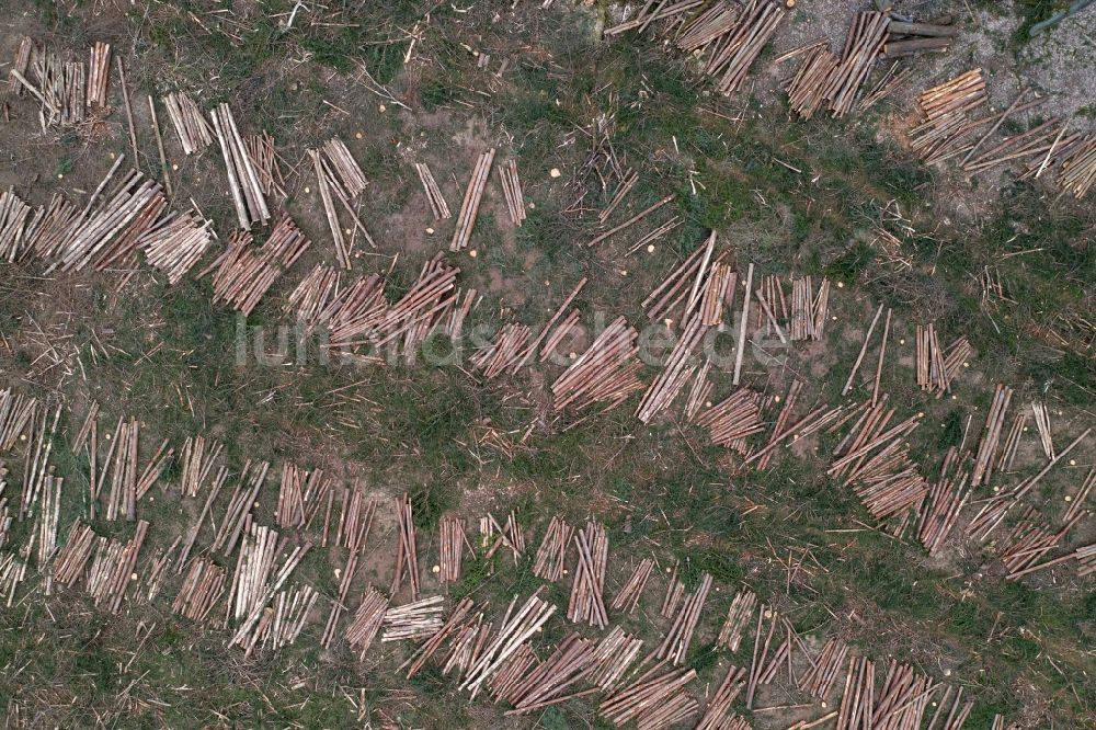 Luftbild Nauen - Gefällte Baumstämme an einem Waldgrundstück im Ortsteil Weinberg in Nauen im Bundesland Brandenburg, Deutschland