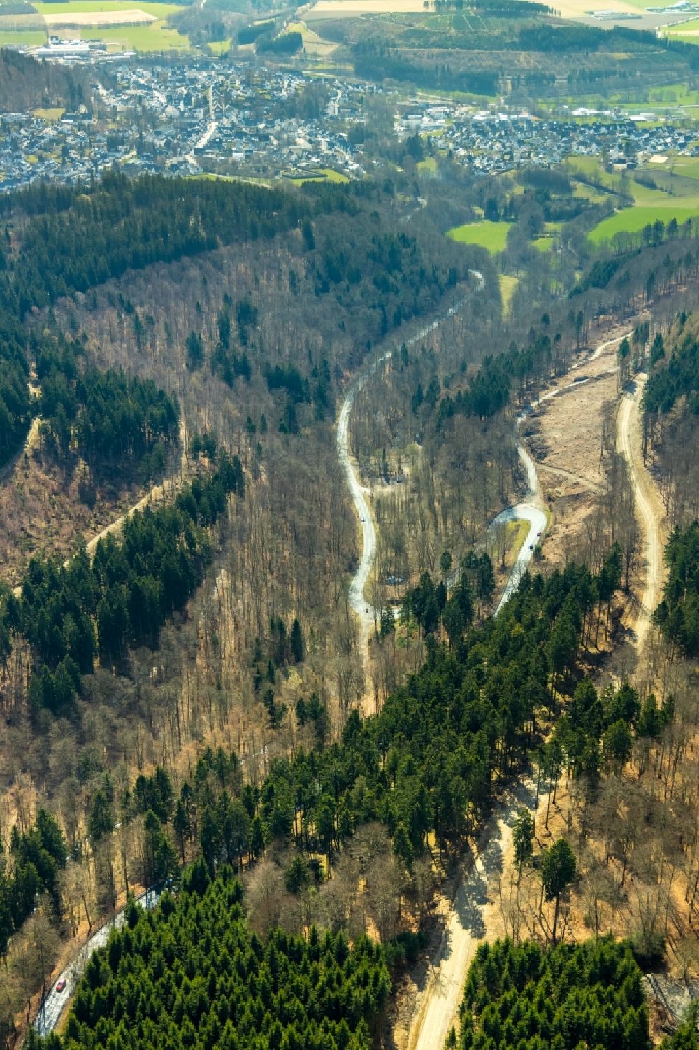 Luftbild Schmallenberg - Gefällte Baumstämme an einem Waldgrundstück in Vorbereitung einer zur Ortsumgehung in Schmallenberg im Bundesland Nordrhein-Westfalen, Deutschland