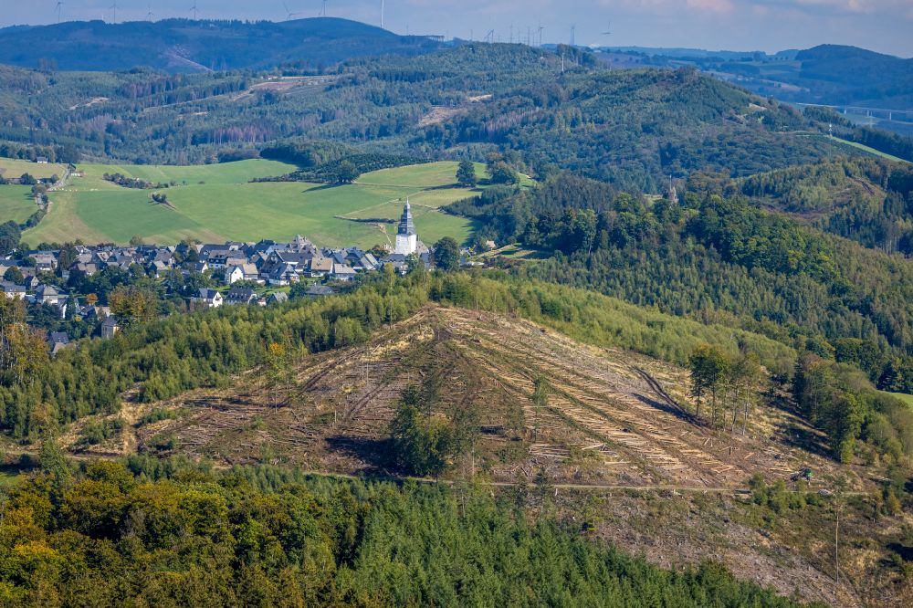 Luftaufnahme Wehrstapel - Gefällte Baumstämme an einem Waldgrundstück in Wehrstapel im Bundesland Nordrhein-Westfalen, Deutschland