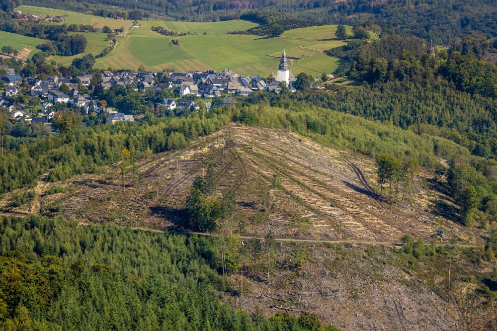 Wehrstapel von oben - Gefällte Baumstämme an einem Waldgrundstück in Wehrstapel im Bundesland Nordrhein-Westfalen, Deutschland