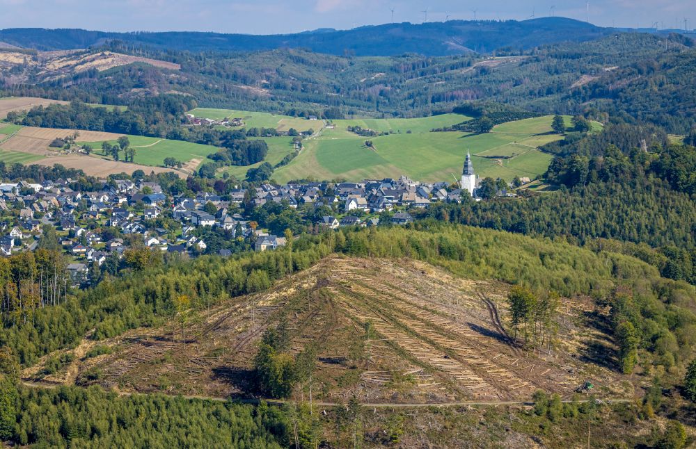 Wehrstapel aus der Vogelperspektive: Gefällte Baumstämme an einem Waldgrundstück in Wehrstapel im Bundesland Nordrhein-Westfalen, Deutschland