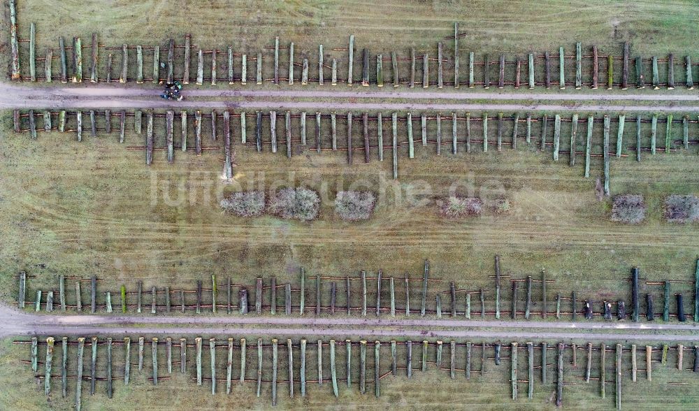 Chorin aus der Vogelperspektive: Gefällte Baumstämme auf einem Wertholz- Lagerplatz einer Verkaufs- Auktion in Chorin im Bundesland Brandenburg, Deutschland