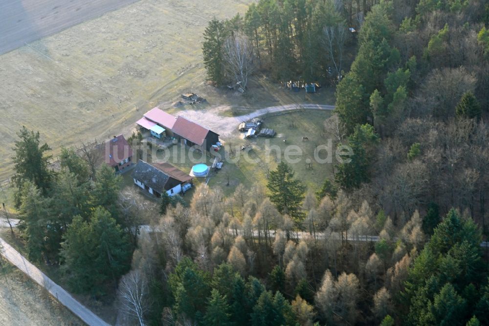 Luftaufnahme Basdorf - Gehöft und Bauernhof in Basdorf im Bundesland Brandenburg, Deutschland