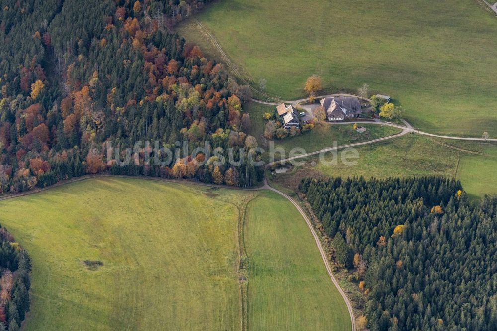 Luftbild Breitnau - Gehöft und Bauernhof in Breitnau im Bundesland Baden-Württemberg, Deutschland