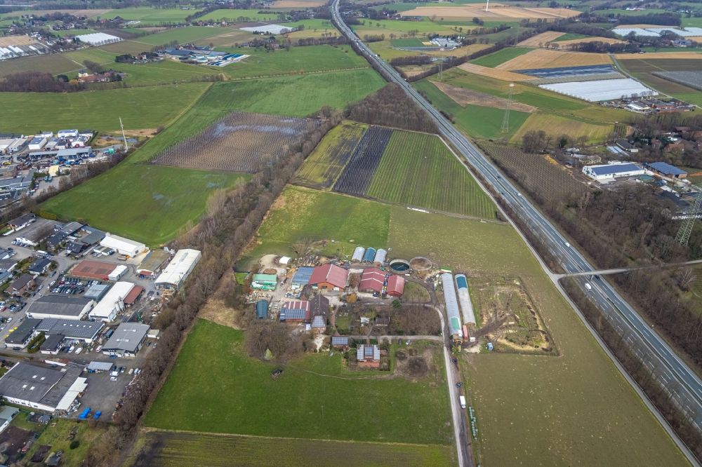 Luftaufnahme Kirchhellen - Gehöft und Bauernhof am Dahlberg in Kirchhellen im Bundesland Nordrhein-Westfalen, Deutschland