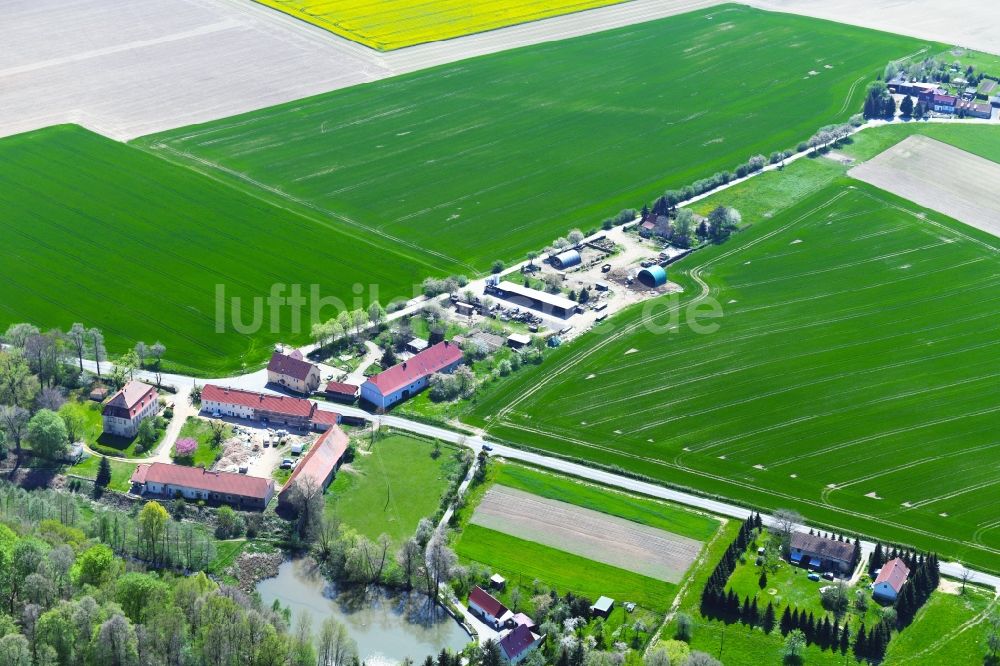 Luftaufnahme Dittmannsdorf - Gehöft und Bauernhof in Dittmannsdorf im Bundesland Sachsen, Deutschland