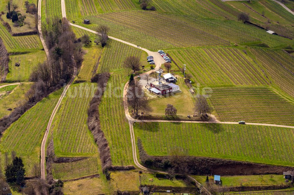 Luftaufnahme Ettenheim - Gehöft und Bauernhof in Ettenheim im Bundesland Baden-Württemberg, Deutschland