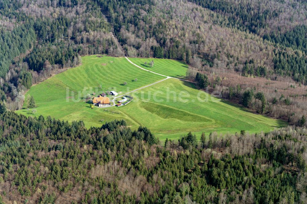 Luftbild Ettenheimmünster - Gehöft und Bauernhof in Ettenheimmünster im Bundesland Baden-Württemberg, Deutschland
