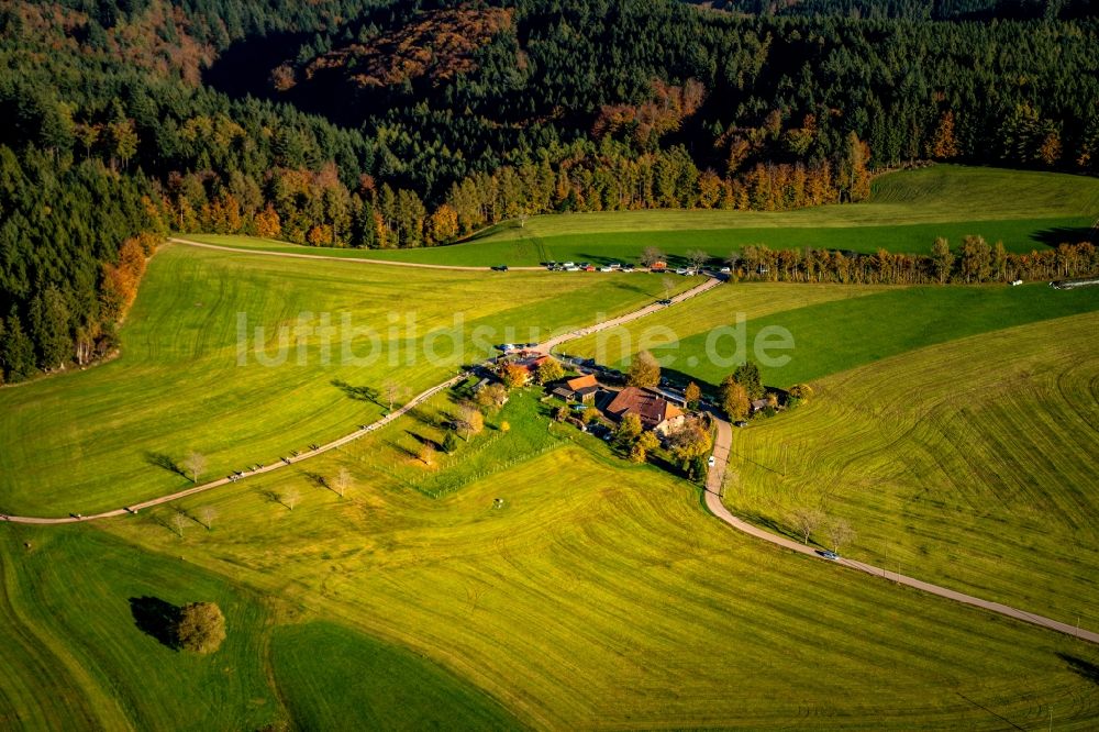 Luftbild Freiamt - Gehöft und Bauernhof in Freiamt im Bundesland Baden-Württemberg, Deutschland