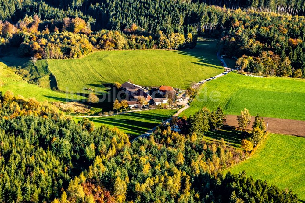 Luftaufnahme Freiamt - Gehöft und Bauernhof in Freiamt im Bundesland Baden-Württemberg, Deutschland