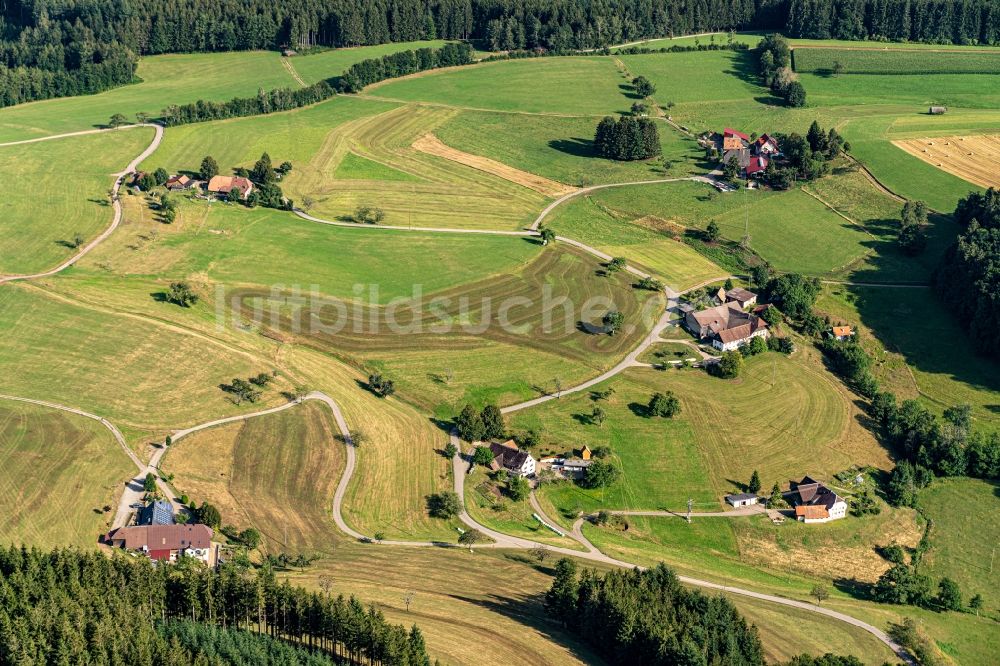 Waldshut von oben - Gehöft und Bauernhof in Freiamt im Bundesland Baden-Württemberg, Deutschland