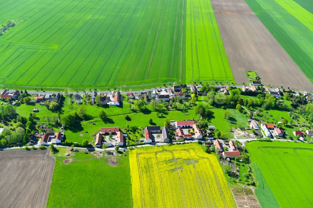 Luftaufnahme Lampertswalde - Gehöft und Bauernhof in Lampertswalde im Bundesland Sachsen, Deutschland