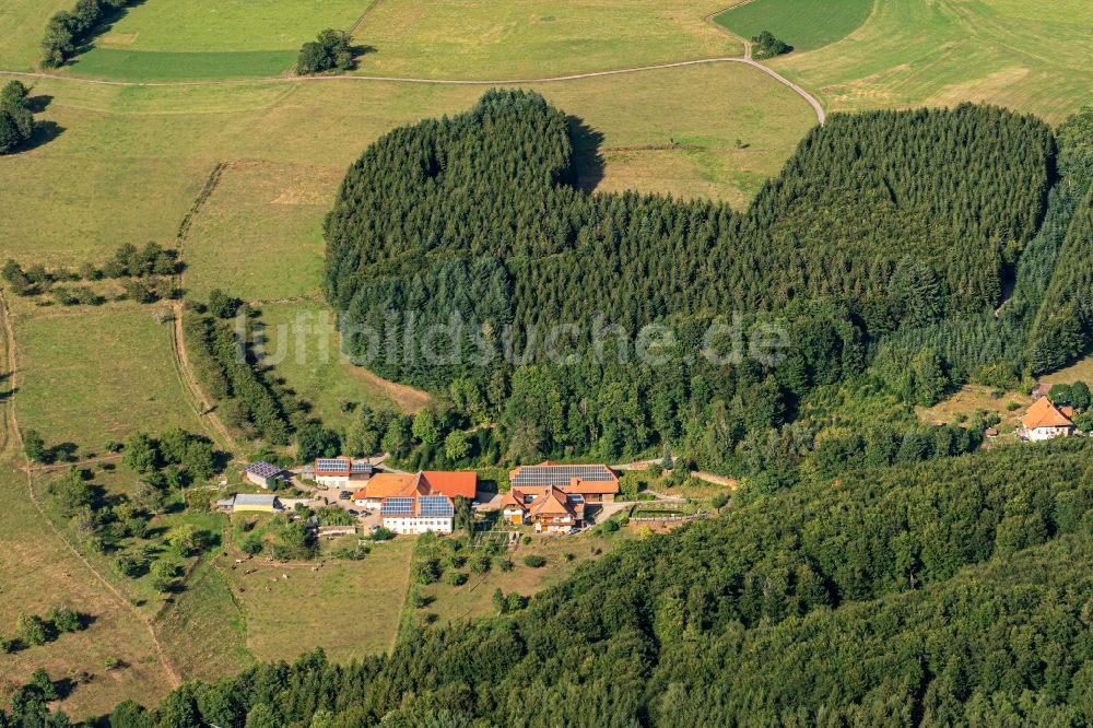 Luftaufnahme Schweighausen - Gehöft und Bauernhof Lohbächle in Schweighausen im Bundesland Baden-Württemberg, Deutschland